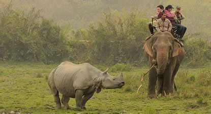 Elephant Safari In Kaziranga Kaziranga Elephant Safari Zones