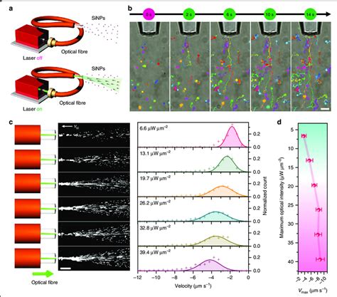 Long Distance Opto Thermoelectric Pulling And Trapping A Schematic