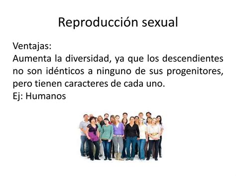 Ventajas Y Desventajas De La Reproduccion Asexual Y Sexual PPT