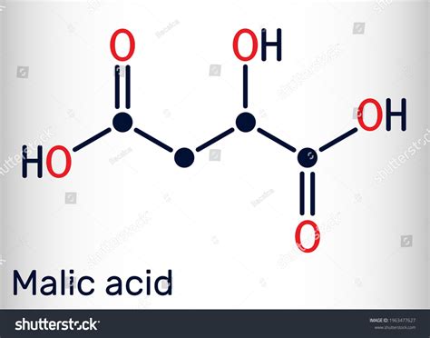 Malic Acid C4h6o5 Molecule Dicarboxylic Acid Stock Vector Royalty Free