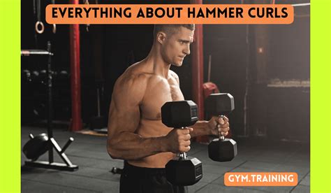 Hammer Curls: Benefits, Variations And Tips - GYM TRAINING