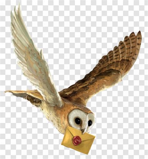 Harry Potter And The Philosophers Stone Owl Hedwig Hogwarts