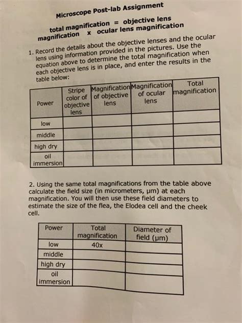 Solved Microscope Post-lab Assignment total magnification = | Chegg.com