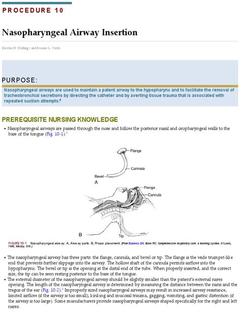 Nasopharyngeal Airway Insertion | PDF | Respiratory Tract | Clinical ...