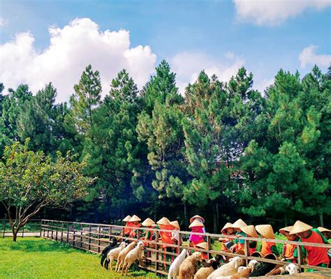 kuntum farmfield harga tiket masuk lokasi jam buka