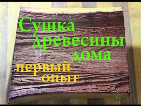 Сушка древесины дома - максимально быстрый способ(первый опыт) - YouTube