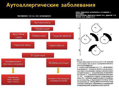 Тараки Ивад МЛ-305 АУТОАЛЛЕРГИЧЕСКИЕ ЗАБОЛЕВАНИЯ НА ПРИМЕРЕ ДИФФУЗНОГО
