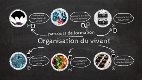 Svt L Organisation Du Monde Vivant