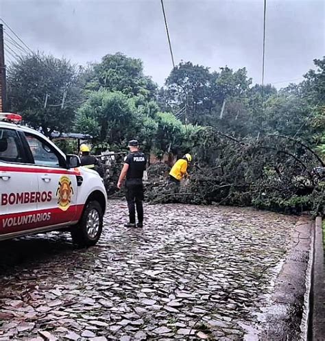 Temporal que azotó con fuerza gran parte de la provincia provocó