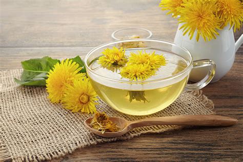 Dandelion Root Tea Benefits Side Effects And Recipe Chinese Teas 101