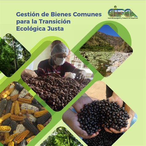 Gestión de Bienes Comunes para la Transición Ecológica Justa CIPCA