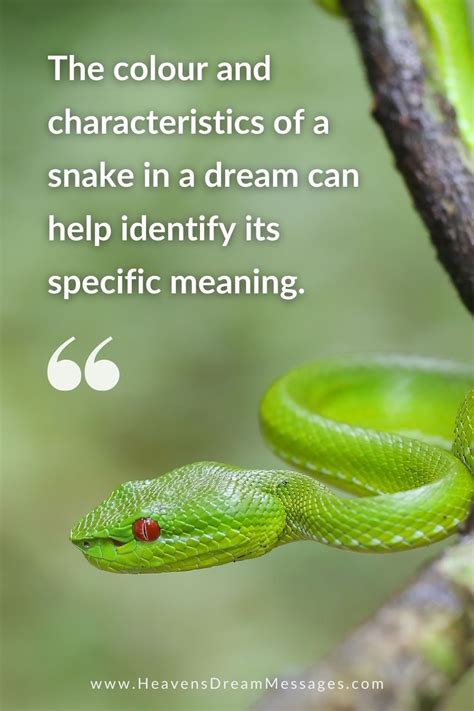 Dream Symbols Snakes And What They Mean Artofit