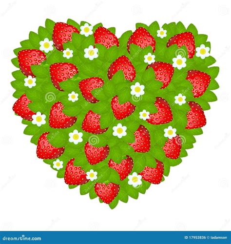 Heart From Strawberry Vector Stock Vector Illustration Of Beauty