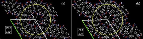 Figure From Modeling Of Self Assembled Peptide Nanotubes And