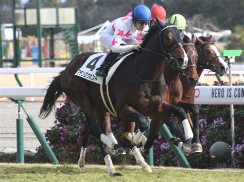 【中京6r新馬戦結果】キズナ産駒マテンロウボンドが差し切りv 競馬ニュース