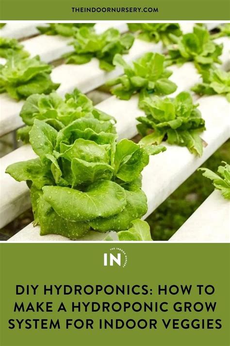 Diy Hydroponics How To Make A Hydroponic Grow System For Indoor