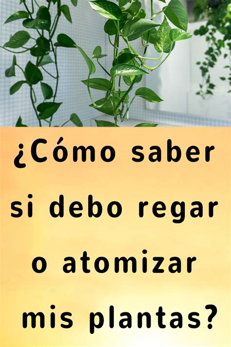 A Yellow Sign That Says Comoo Saber Si Debo Regar O Atmizar Mis Plantas