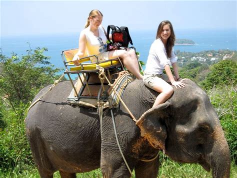 Phuket Elephant Trekking In Phuket Thailandby