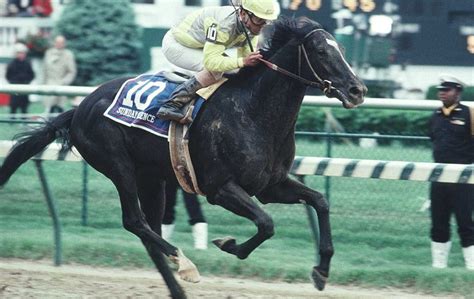 Shapers Of The Breed Down Under A Mare Whose Impact Has Lasted Nearly