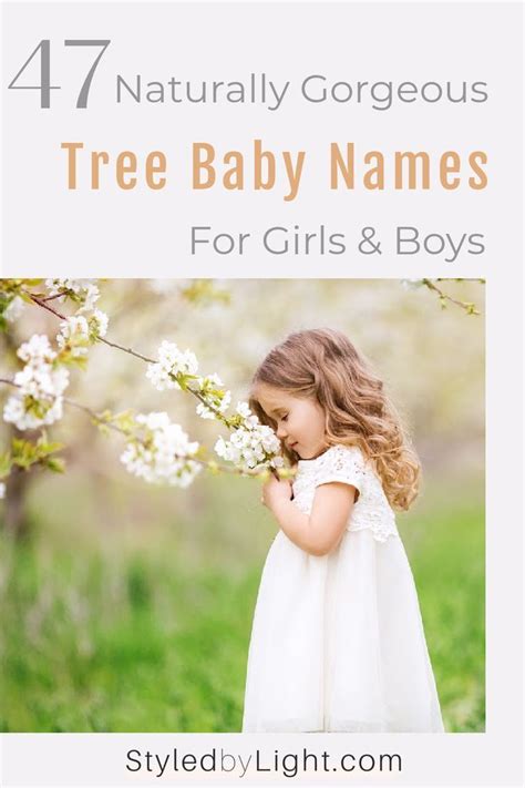 47 gorgeous tree baby names for girls and boys – Artofit