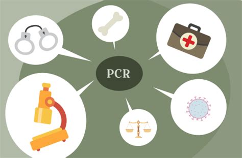 Pcr Qué Es Y Qué Aplicaciones Tiene