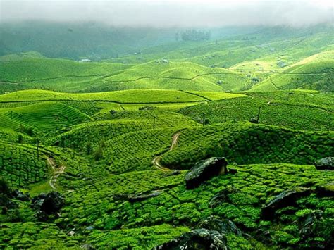 Top 12 Famous Tourist Places In Idukki - Geek of Adventure