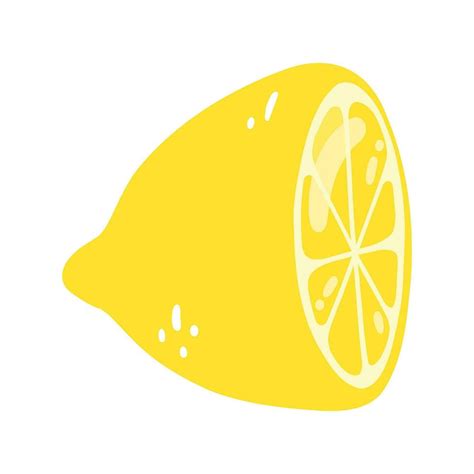 Hand Drawn Half A Lemon Vector Illustration Of Cut Tasty Citrus Healthy Food Summer Fresh