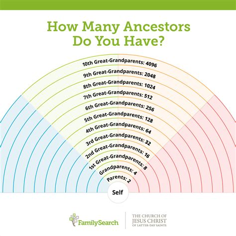 How Many Ancestors Do I Have? Connect with Family