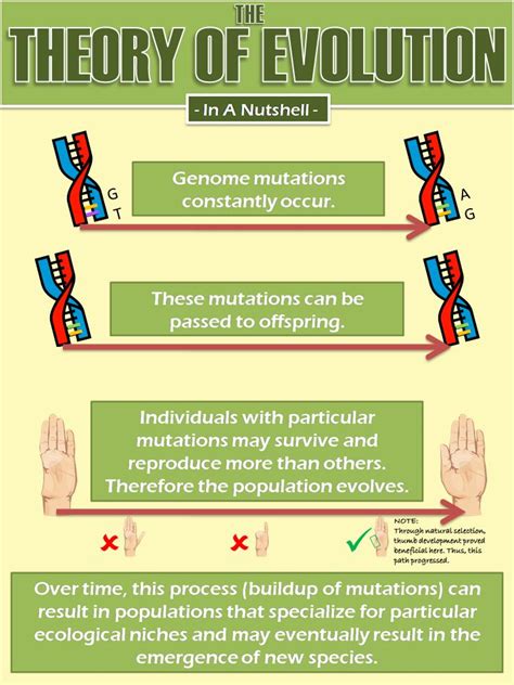 Best 25+ Theory of evolution ideas on Pinterest | Darwin's theory of ...