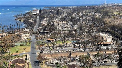 O que causou os incêndios florestais devastadores no Havaí Revista