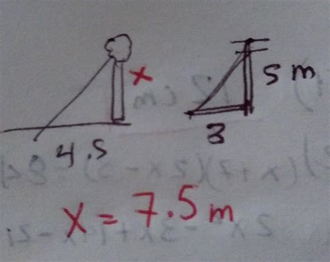 Halla La Altura De Un Arbol Que Proyecta Una Sombra De M Al Mismo