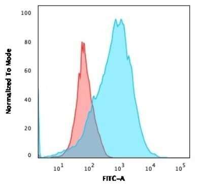 CD2 Antibody BH1 Azide And BSA Free NBP2 34561 Bio Techne