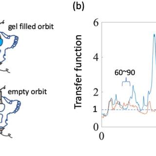 Orbital Effects In Relation To A Reference Signal A Illustration Of