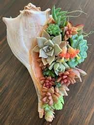 Conch Shell Crafts Ideas Shell Crafts Sea Shells Seashell Crafts