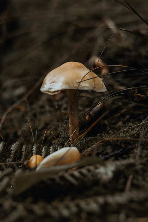 imagenes de terapeutas en consulta  personas
