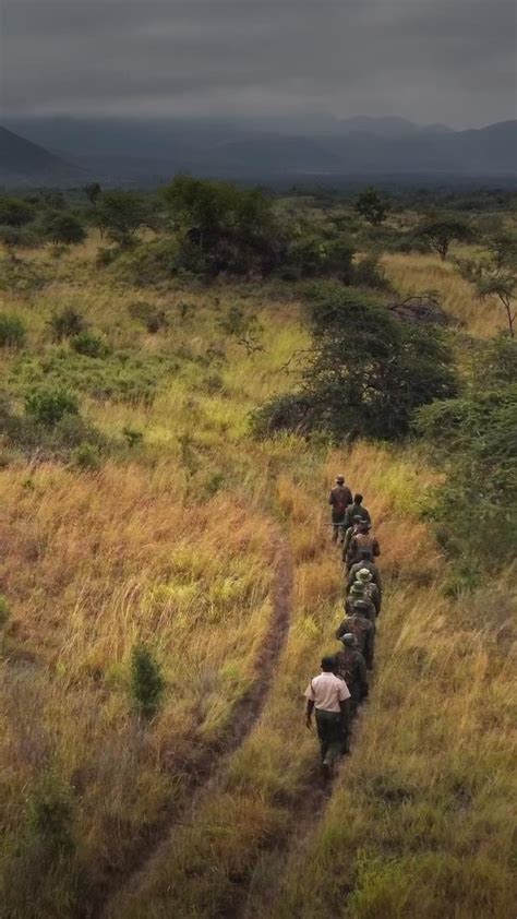 Les Chasseurs De Braconniers Radio Canada Ca