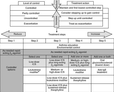 Global Strategy For Asthma Management And Prevention Gina Executive