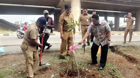 Hari Lingkungan Hidup Sedunia Dlh Kota Tangerang Gelar Penanaman Pohon