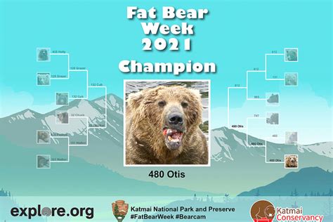 Heavy Duty Bearing One Ton Otis Wins Alaska Fat Bear Contest