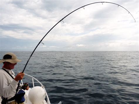 Mes 4 meilleurs leurres pour le thon rouge sur chasse Astuce de Pêche