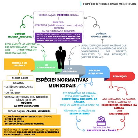 Espécies normativas municipais em mapas mentais Mapas mentais