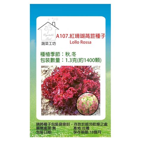 蔬菜工坊 A107紅珊瑚萵苣種子 Lollo Rossa 不結球萵苣 Pchome 24h購物