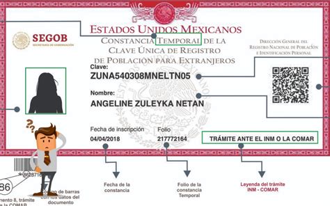 Curp Actualizada Facilita Trmites Y Puede Traer