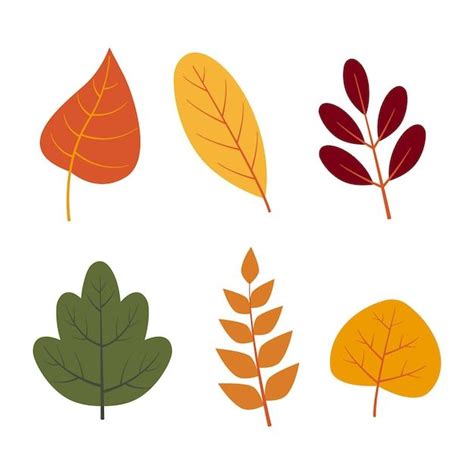 Hand Drawn Autumn Leaves Illustration