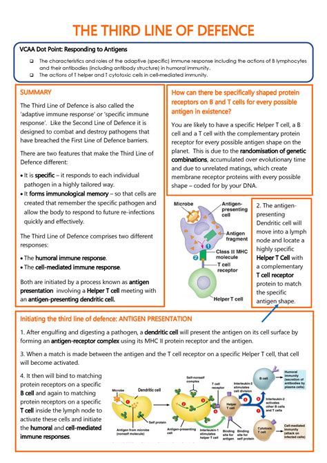The Third Line Of Defence Theory Notes The Third Line Of Defence Vcaa