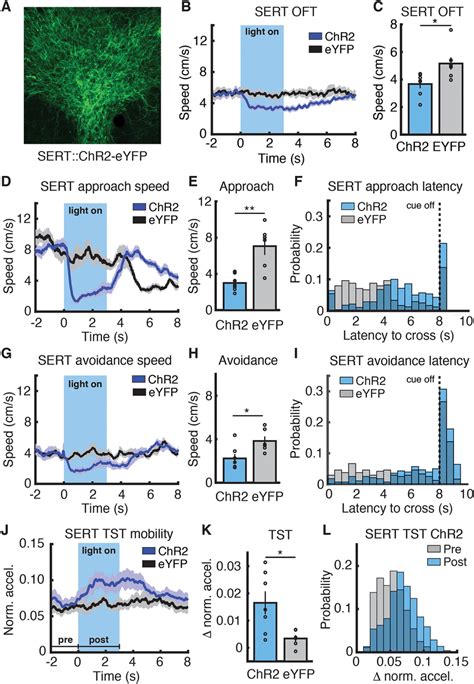 Drn 5 Ht Stimulation Suppresses Or Promotes Movement At Different Download Scientific Diagram