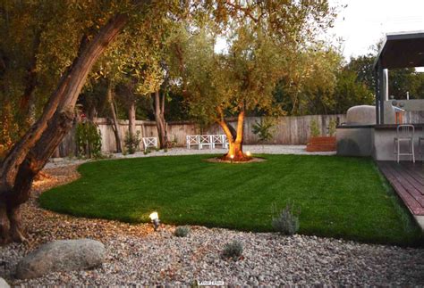 15 Ideas For Landscaping Around Trees