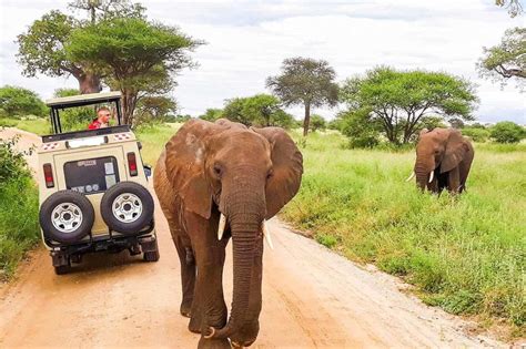 Tage Masai Mara Camping Safari Mit Einem X Land Cruiser Jeep