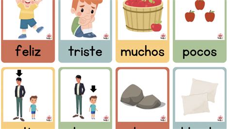 Tarjetas De Opuestos