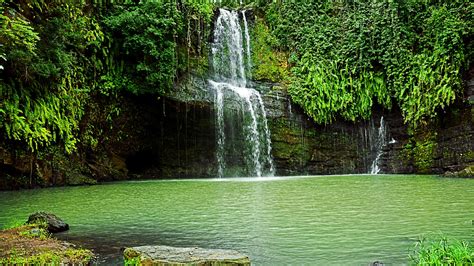 Landscape View Of Waterfalls On Rocks Pouring On Lake Green Trees Plants 4k Hd Nature Wallpapers